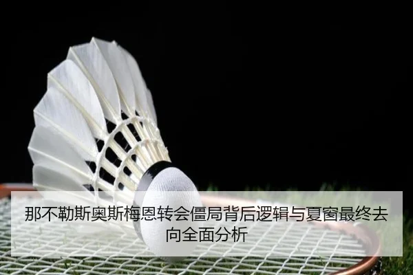 那不勒斯奥斯梅恩转会僵局背后逻辑与夏窗最终去向全面分析